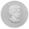 2010 Canada Fine Silver $5 Coin - Piedfort Maple Leaf - Lightly Tarnished