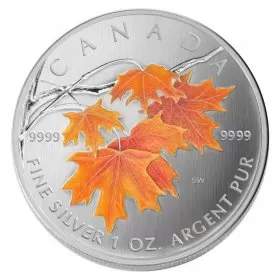 2007 Canadian $5 Coloured Silver Maple Leaf: Sugar Maple in Orange 1 oz Fine Silver Coin