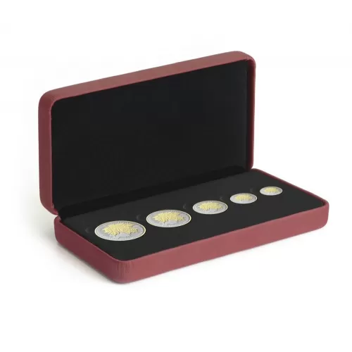 2014 Canadian Fine Silver 5-Coin Fractional Set - The Maple Leaf - one coin tarnished