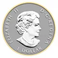 2014 Canadian Fine Silver 5-Coin Fractional Set - The Maple Leaf - one coin tarnished