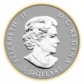 2014 Canadian Fine Silver 5-Coin Fractional Set - The Maple Leaf - one coin tarnished