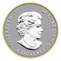 2014 Canadian Fine Silver 5-Coin Fractional Set - The Maple Leaf - one coin tarnished