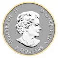 2014 Canadian Fine Silver 5-Coin Fractional Set - The Maple Leaf - one coin tarnished