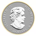 2014 Canadian Fine Silver 5-Coin Fractional Set - The Maple Leaf - one coin tarnished