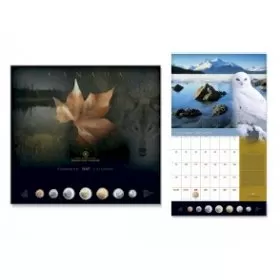2007 Canada Calendar & Uncirculated Coin Gift Set - lightly tarnished coins
