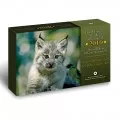 2010 Canadian Special Edition Specimen Set - Lynx-coin case is not 100%