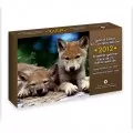 2012 Canada Special Edition Specimen Set - Wolf Cubs