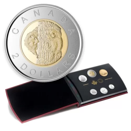 2015 Canada Special Edition Specimen Set - Baby Raccoons
