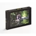 2015 Canada Special Edition Specimen Set - Baby Raccoons