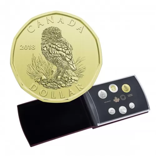 2018 Canadian Specimen 6-Coin Collector Set ft $1 Burrowing Owl Loonie Dollar - outside box isn't perfect