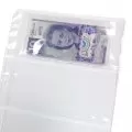 3-Pocket Horizontal Vinyl Currency Binder Page For Standard-to-Large Sized Bills (1-Count)
