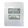 4-Pocket Horizontal Vinyl Currency Binder Page For Small-to-Standard Sized Bills (1-Count)