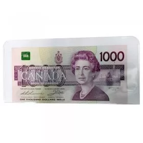 Medium Vinyl Bill Holder for Modern-sized Currency Notes (1-Count)
