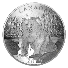 2019 Canadian $100 Double-Concave Coin - Brown Bear: Nature's Grandeur Series - 10 oz Fine Silver Coin - lightly tarnished