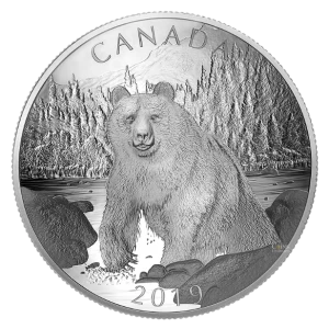 2019 Canadian $100 Double-Concave Coin - Brown Bear: Nature's Grandeur Series - 10 oz Fine Silver Coin - lightly tarnished