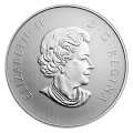 2015 Canadian $10 Maple Leaf 1/2 oz Fine Silver Coin