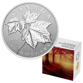 2019 Canadian $10 Maple Leaf - 1/2 oz Fine Silver Coin