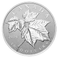 2019 Canadian $10 Maple Leaf - 1/2 oz Fine Silver Coin