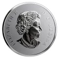 2019 Canadian $10 Welcome to the World, Baby Feet 1/2 oz Fine Silver Coin