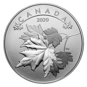 2020 Canadian $10 O Canada! Series: Maple Leaves - 1/2 oz Fine Silver Coin