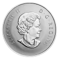 2021 Canadian $10 Welcome to the World, Baby Feet - 1/2 oz Fine Silver Coin-coin in capsule only