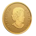 2022 Canadian $10 Everlasting Maple Leaf - 1/20 oz Pure Gold Coin - no beauty box