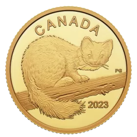 2023 Canadian $10 The Curious Marten - 1/20 oz Pure Gold Coin