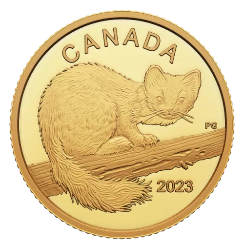2023 Canadian $10 The Curious Marten - 1/20 oz Pure Gold Coin