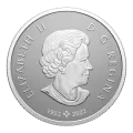 2023 Canadian $10 Welcome to the World, Baby Feet - 1/2 oz Fine Silver Coin