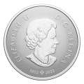 2024 Canadian $10 Welcome to the World, Baby Feet - 1/2 oz Fine Silver Coin