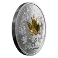 2019 Canadian $15 Golden Maple Leaf - Fine Silver Coin