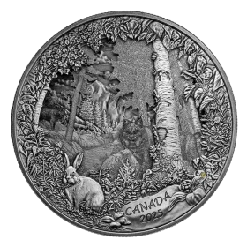 2025 Canada $175 Predator or Prey in Shadow Box - Fine Silver Coin