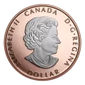 2023 Canadian $1 Peace Dollar - 1 oz Fine Silver Rose Gold Plated Coin