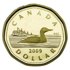 2009 Canadian $1 Common Loon Dollar Proof Coin