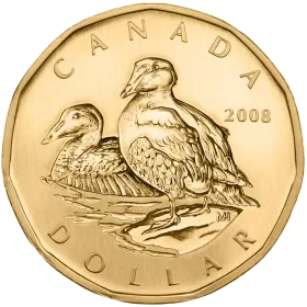 2008 Canadian $1 Common Eider Dollar Specimen Coin