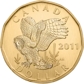 2011 Canadian $1 Great Grey Owl Dollar Specimen Coin