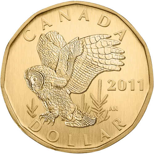 2011 Canadian $1 Great Grey Owl Dollar Specimen Coin