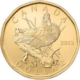 2013 Canadian $1 Blue-Winged Teal Dollar Specimen Coin