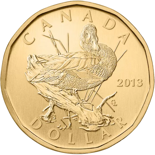 2013 Canadian $1 Blue-Winged Teal Dollar Specimen Coin