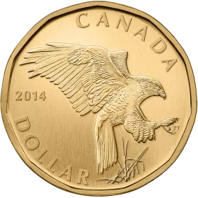 2014 Canadian $1 Ferriginous Hawk Dollar Specimen Coin