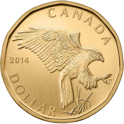 2014 Canadian $1 Ferriginous Hawk Dollar Specimen Coin