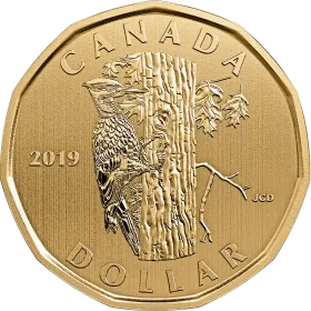 2019 Canadian $1 Pileated Woodpecker Dollar Specimen Coin