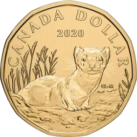 2020 Canadian $1 Black-Footed Ferret Dollar Specimen Coin