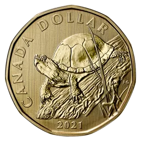 2021 Canadian $1 Blanding's Turtle Dollar Specimen Coin