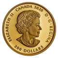 2020 Canadian Bill Reid: Xhuwaji, Haida Grizzly Bear - 1 oz Pure Gold Coin
