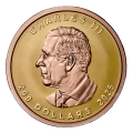 2025 Canada $200 Gold Maple Leaf – Pure Gold Ultra-High Relief 1 oz Pure Gold Coin