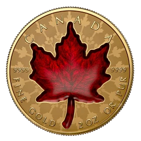 2024 Canada $200 Proud Maple - 2-oz. Pure Gold Coin