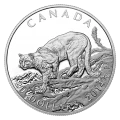 2014 Canadian Cougar - 5 Coin Pure Gold, Platinum and Silver Set