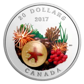 2017 Canadian $20 Under the Sea: Sea Star (Venetian Glass) - 1 oz Fine Silver Coin