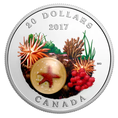 2017 Canadian $20 Under the Sea: Sea Star (Venetian Glass) - 1 oz Fine Silver Coin